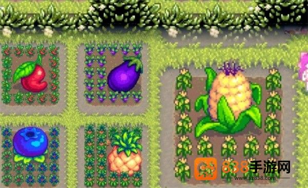 星露谷物语巨大作物种植终极秘籍