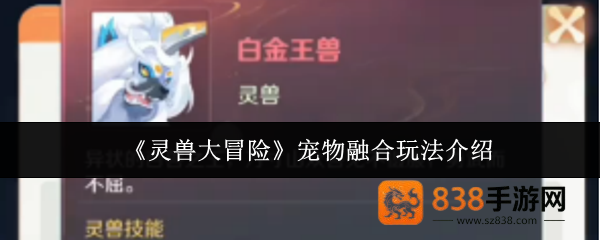 灵兽大冒险宠物融合终极指南