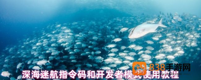 深海迷航开发者模式终极解锁指南