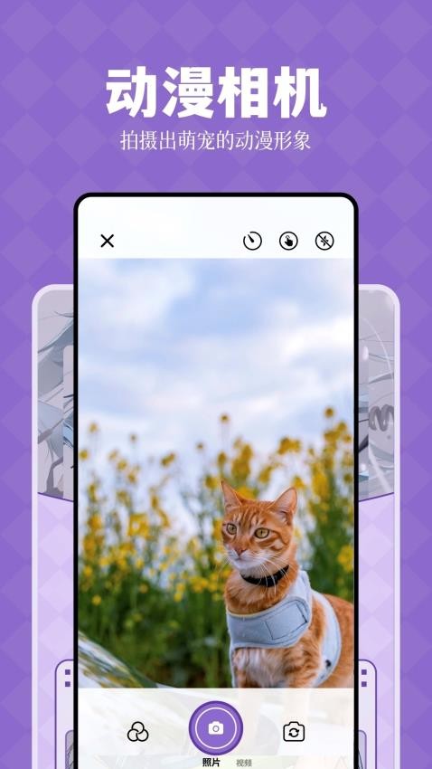 喵次元官方正版
