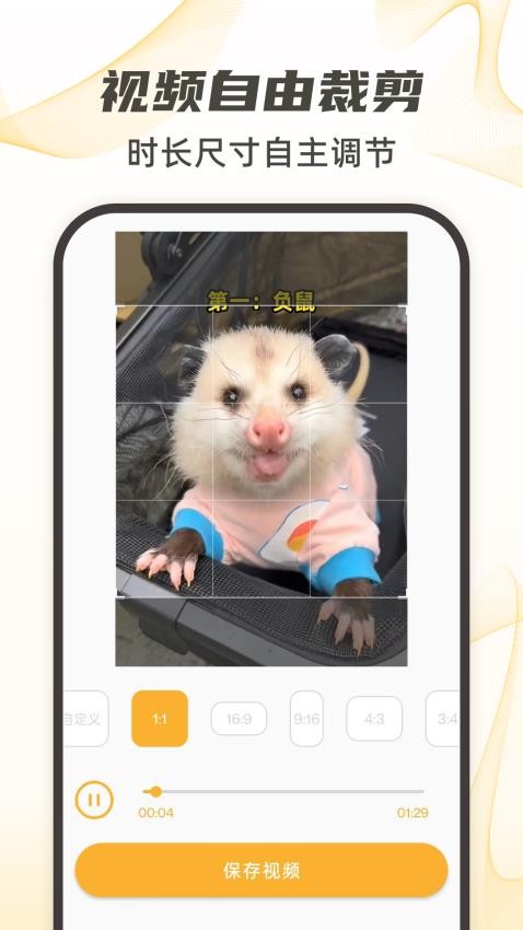 视频下载去水印免费版