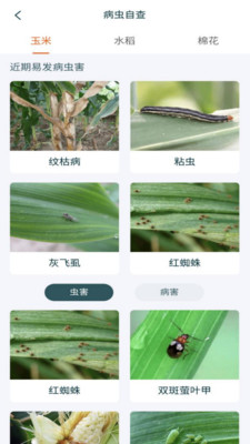 农村集体资产管理平台系统 农村集体资产管理平台系统