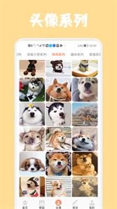 口袋壁纸 口袋壁纸