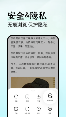 隐私侠浏览器 隐私侠浏览器