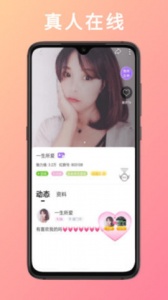 金星直播原版