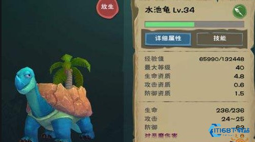 高效驯服水池龟！新手必备饲料攻略与实战技巧【完全解析】