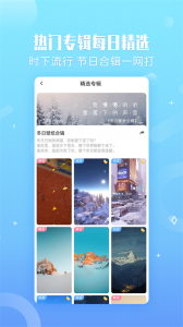 小鸟壁纸手机版
