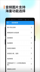 视频消重