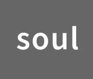 soul聊骚暗语是什么 soul聊骚暗语大全【必学技能】