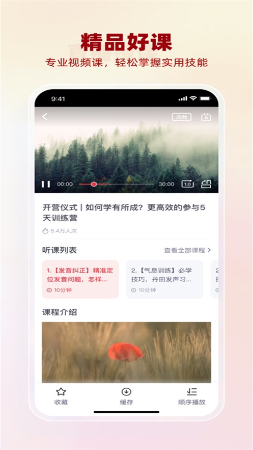 声声入心