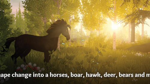 Wilderless