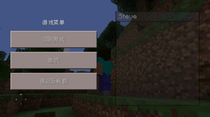 我的世界