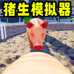 可爱小猪游戏
