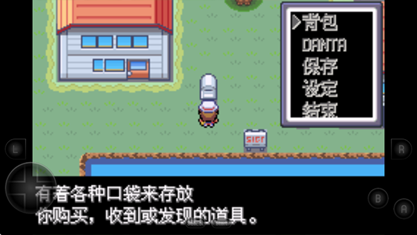 口袋妖怪