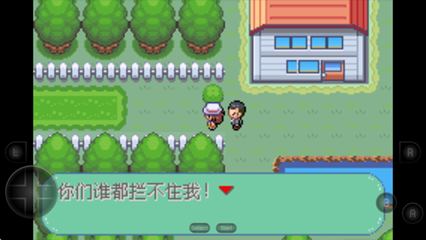 口袋妖怪