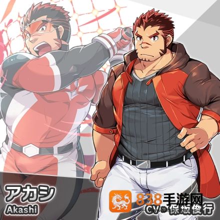 liveahero汉化版