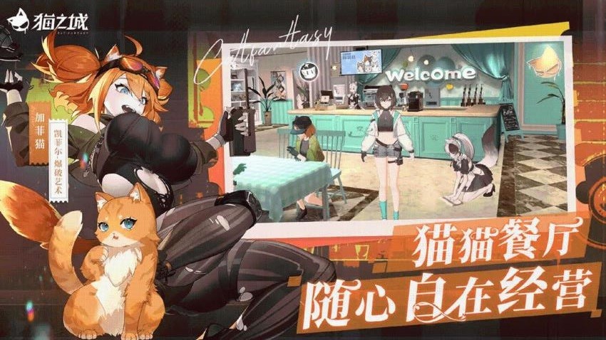 猫之城