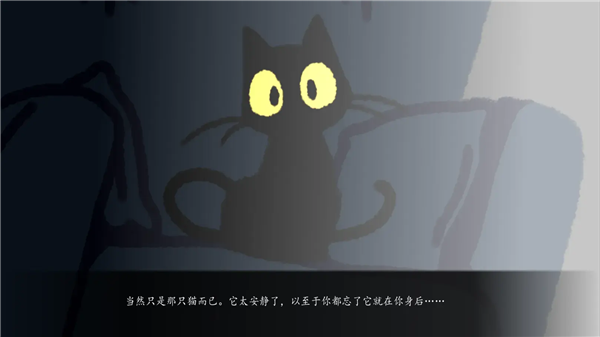 别带这只猫回家