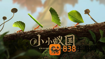 小小蚁国九游版下载