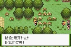 口袋妖怪釉色汉化版