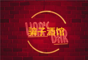 骗子酒馆玩法介绍 骗子酒馆打牌规则【测评】
