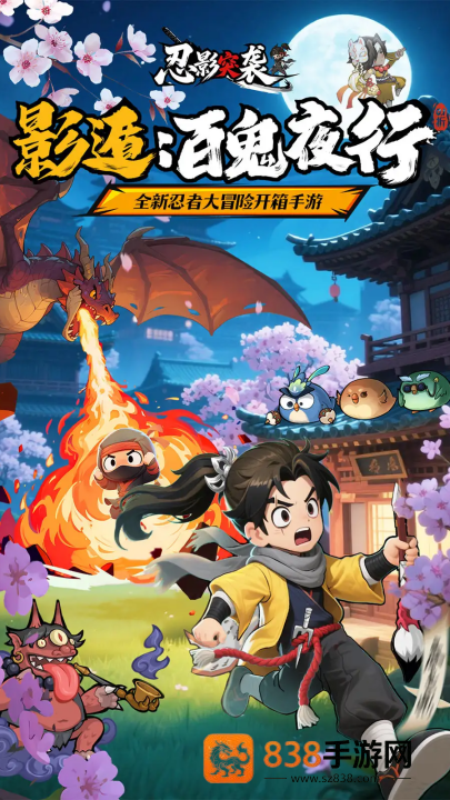 忍影突袭游戏