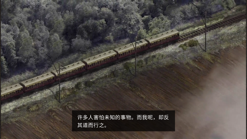 荒野探险
