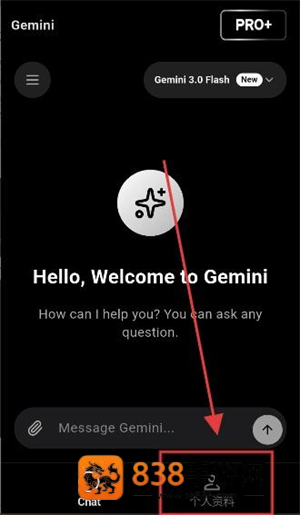 双子座AIapp下载(Gemini)