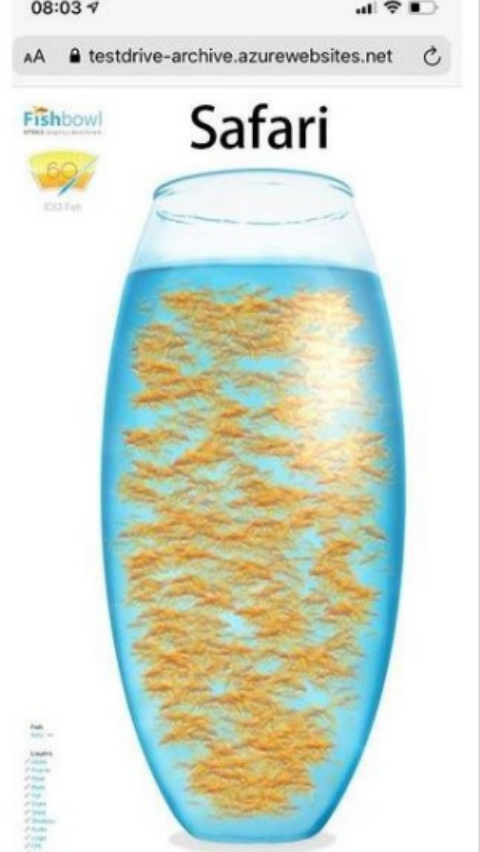 FishBowl