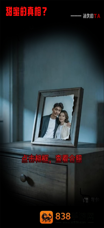 消失的TA游戏