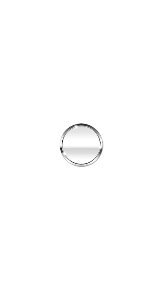 Mirror Plus