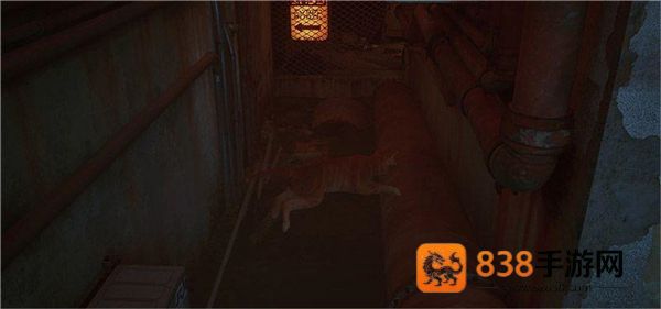 赛博猫迷失手机版(迷失Stray)