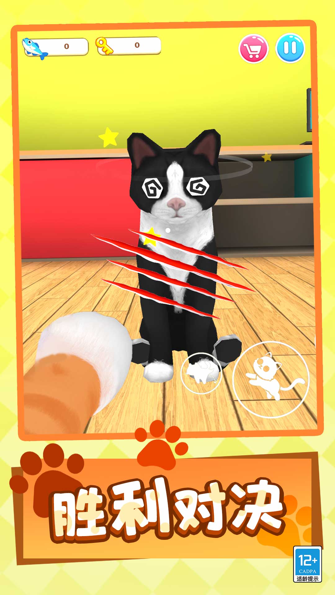 猫咪闹翻天