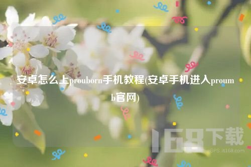 安卓手机如何进入proumb网站-安卓手机进入proumb网站教程【方法】