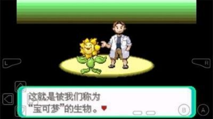 口袋妖怪