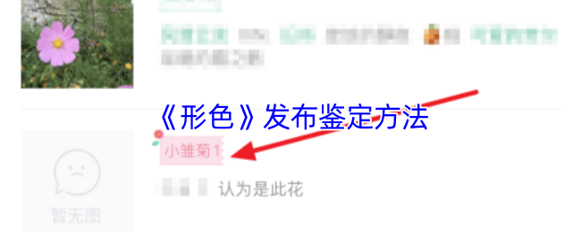 形色-APP-植物鉴定全攻略：3-分钟成为野生植物学家【干货】