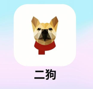 二狗app脱单是真的假的 二狗app会不会泄露个人信息【详细指南】