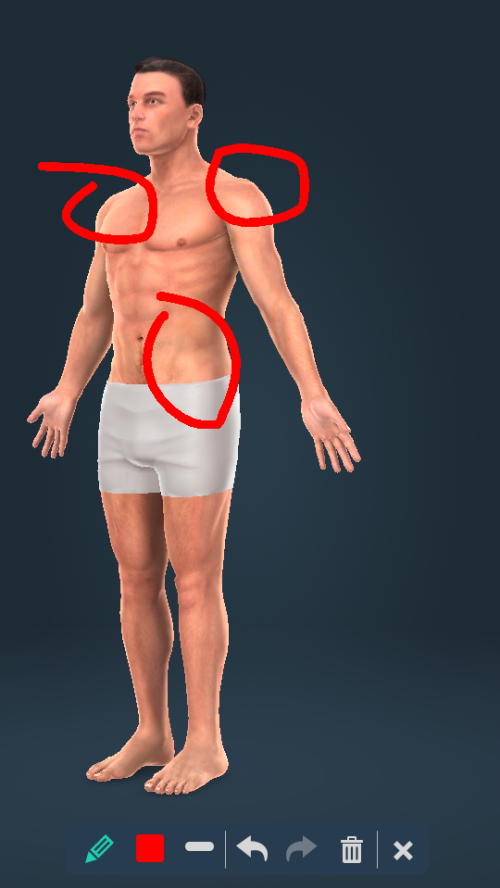 Humanbodymale