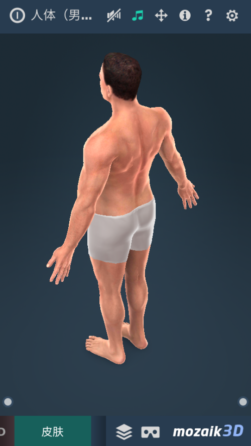 Humanbodymale