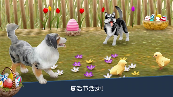 我的寄宿狗屋