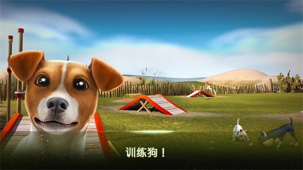 我的寄宿狗屋