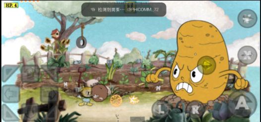 茶杯头CDV