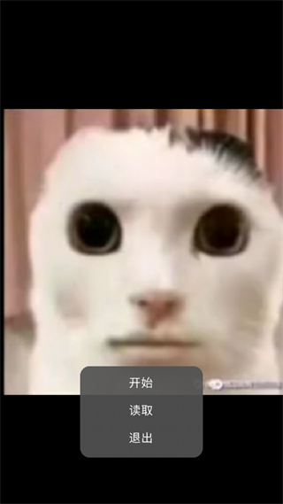 猫猫惊魂夜