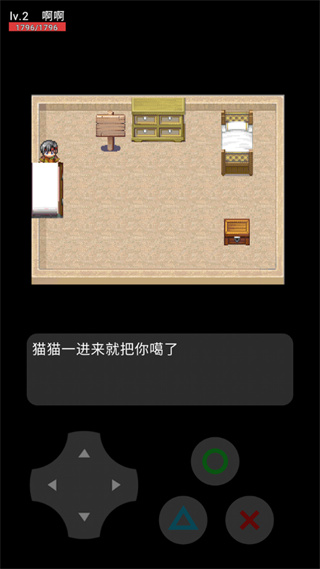 猫猫惊魂夜