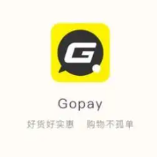 gopay钱包app下载安装最新版本
