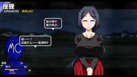 冬日狂想曲冷狐版