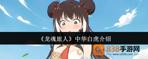龙魂旅人中华白虎全攻略