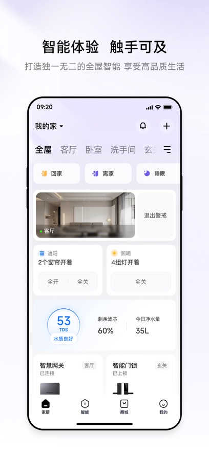 零洞