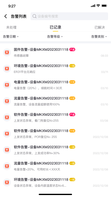 大懒猫