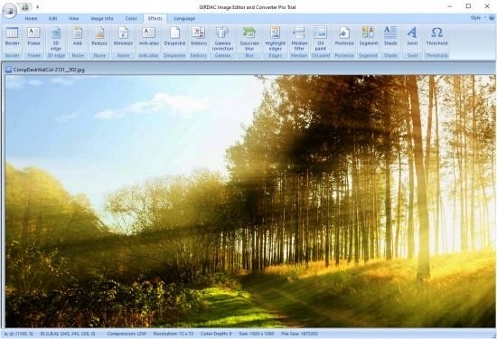 GIRDAC  Image  Editor  and  Converter  Pro(智能图像编辑器)